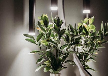 Wat is het beste type lamp om te gebruiken voor lange-afstand hardlopen?